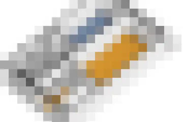 Hofgeest 11 Amsterdam thumbnail 33