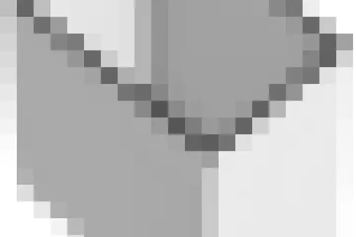 Hofgeest 11 Amsterdam thumbnail 34