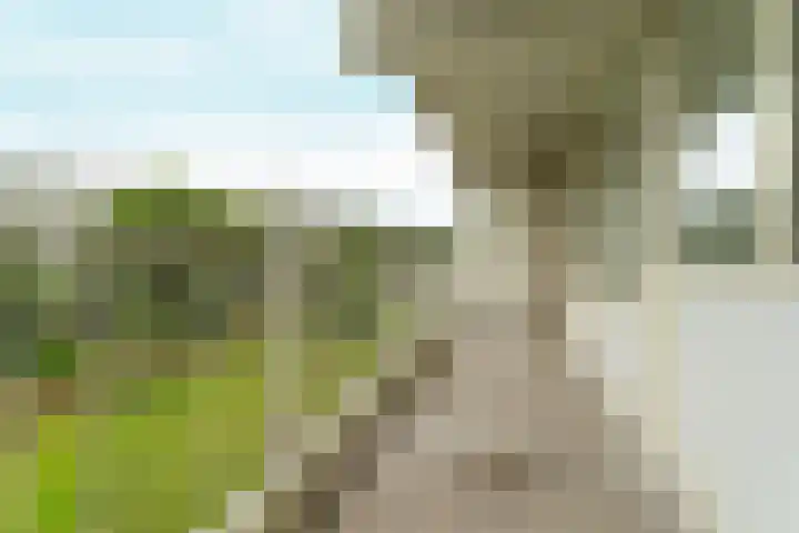 Hofgeest 11 Amsterdam thumbnail 4