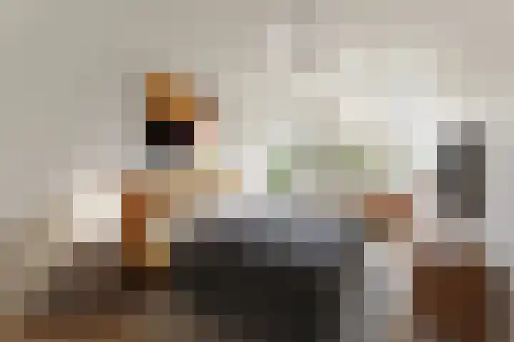 Hofgeest 11 Amsterdam thumbnail 5