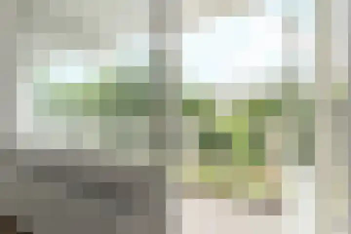 Hofgeest 11 Amsterdam thumbnail 8