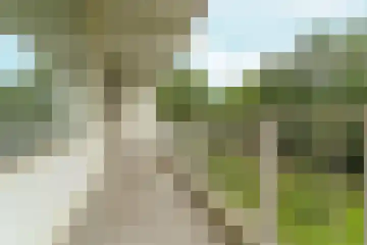 Hofgeest 11 Amsterdam thumbnail 9