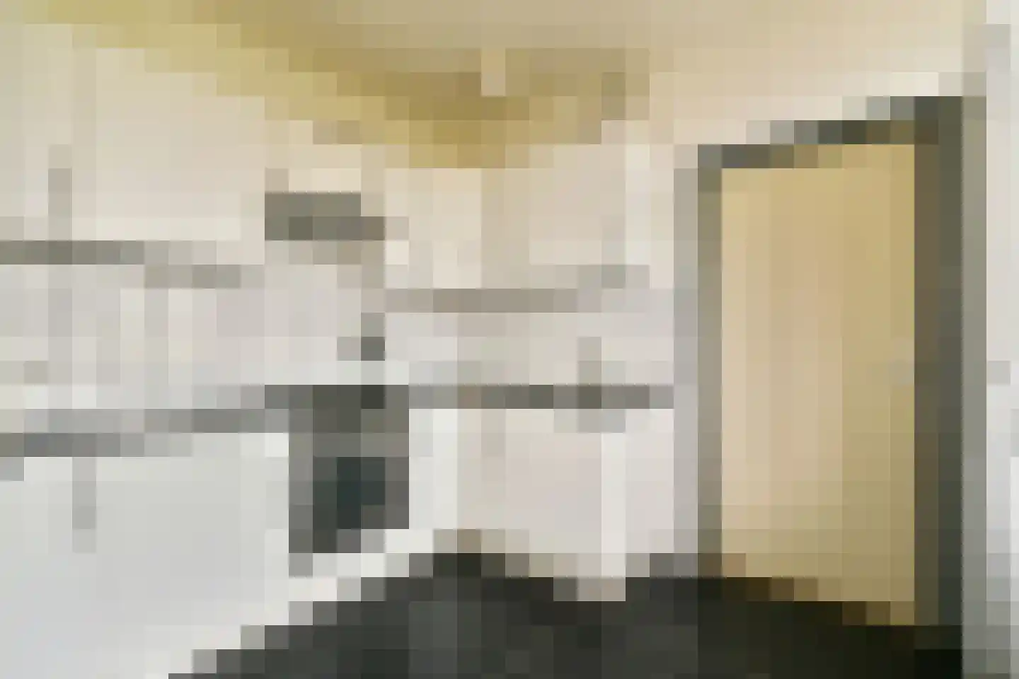 Hofgeest 119 Amsterdam thumbnail 12