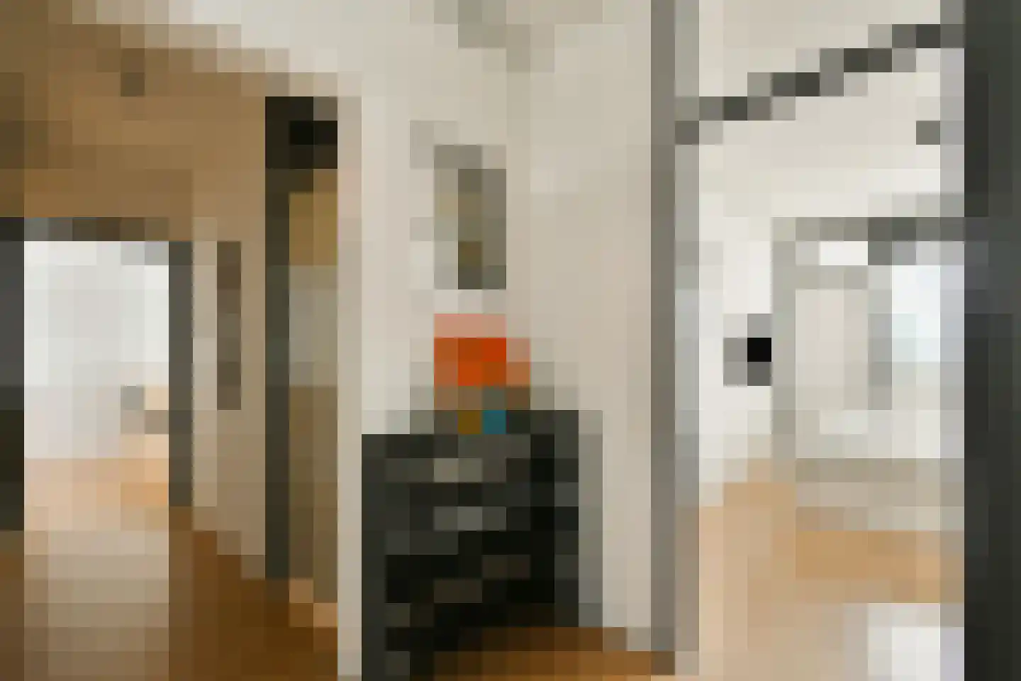 Hofgeest 119 Amsterdam thumbnail 14