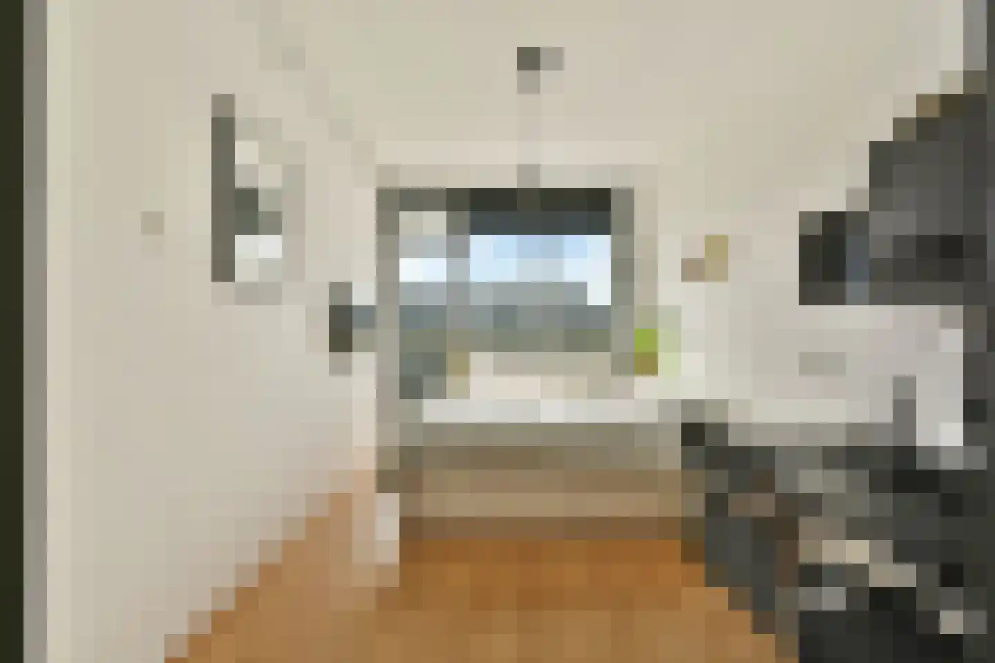 Hofgeest 119 Amsterdam thumbnail 17
