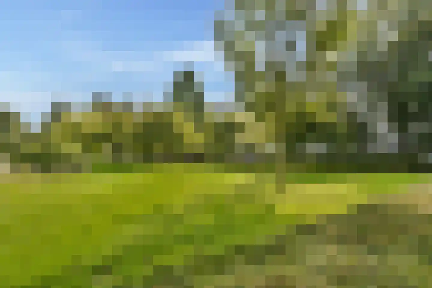 Hofgeest 119 Amsterdam thumbnail 25