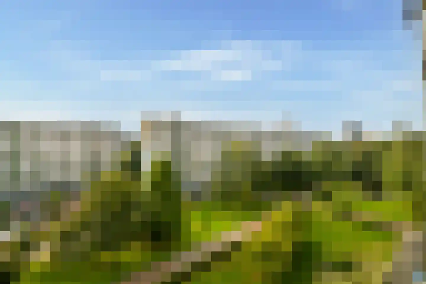 Hofgeest 119 Amsterdam thumbnail 7