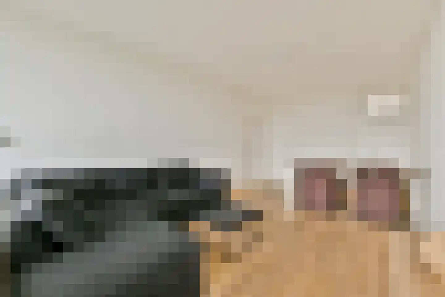 Hofgeest 129 Amsterdam thumbnail 7