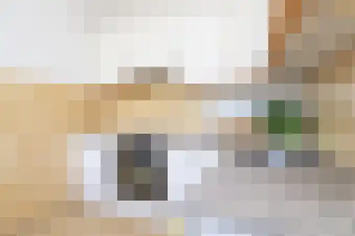Hofgeest 14 Amsterdam thumbnail 10