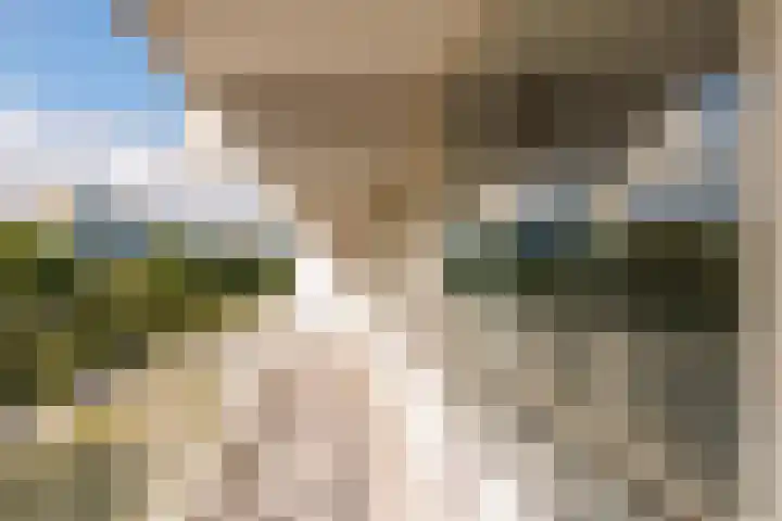 Hofgeest 14 Amsterdam thumbnail 17