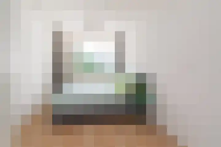 Hofgeest 14 Amsterdam thumbnail 19