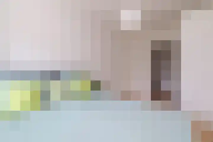 Hofgeest 14 Amsterdam thumbnail 20