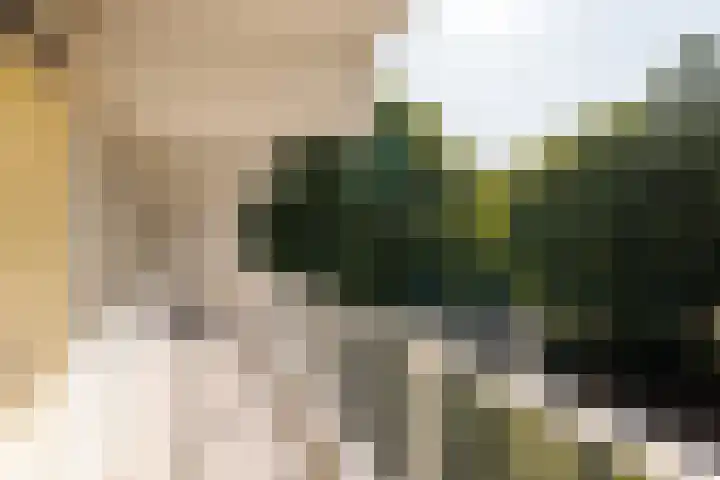 Hofgeest 14 Amsterdam thumbnail 26