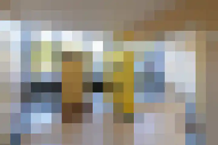 Hofgeest 14 Amsterdam thumbnail 28