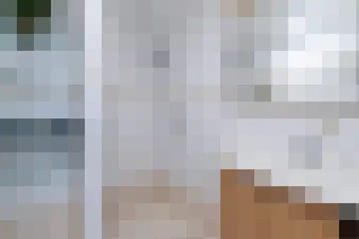 Hofgeest 14 Amsterdam thumbnail 6