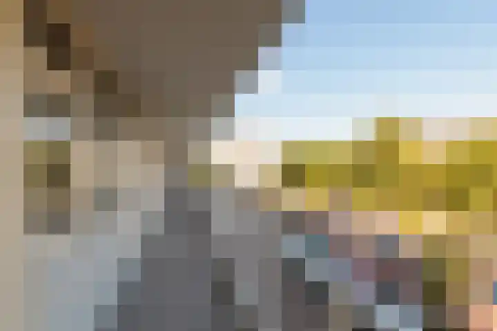Hofgeest 14 Amsterdam thumbnail 8