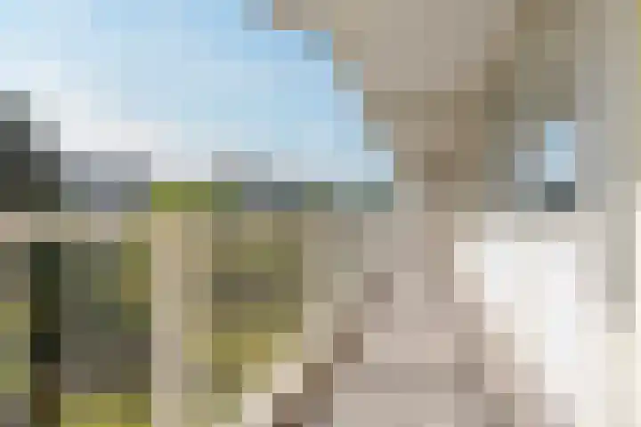Hofgeest 20 Amsterdam thumbnail 5