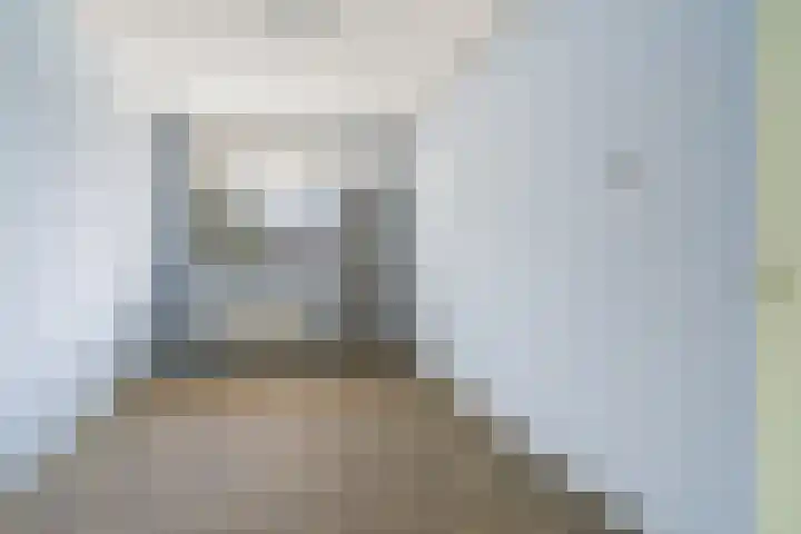 Hofgeest 20 Amsterdam thumbnail 7