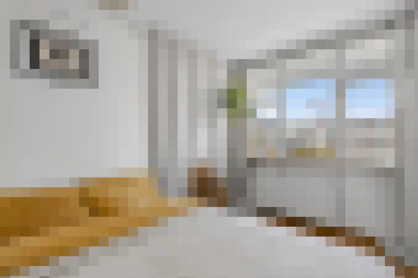 Hofgeest 32 Amsterdam thumbnail 23