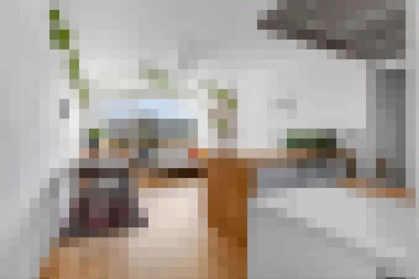 Hofgeest 32 Amsterdam thumbnail 4
