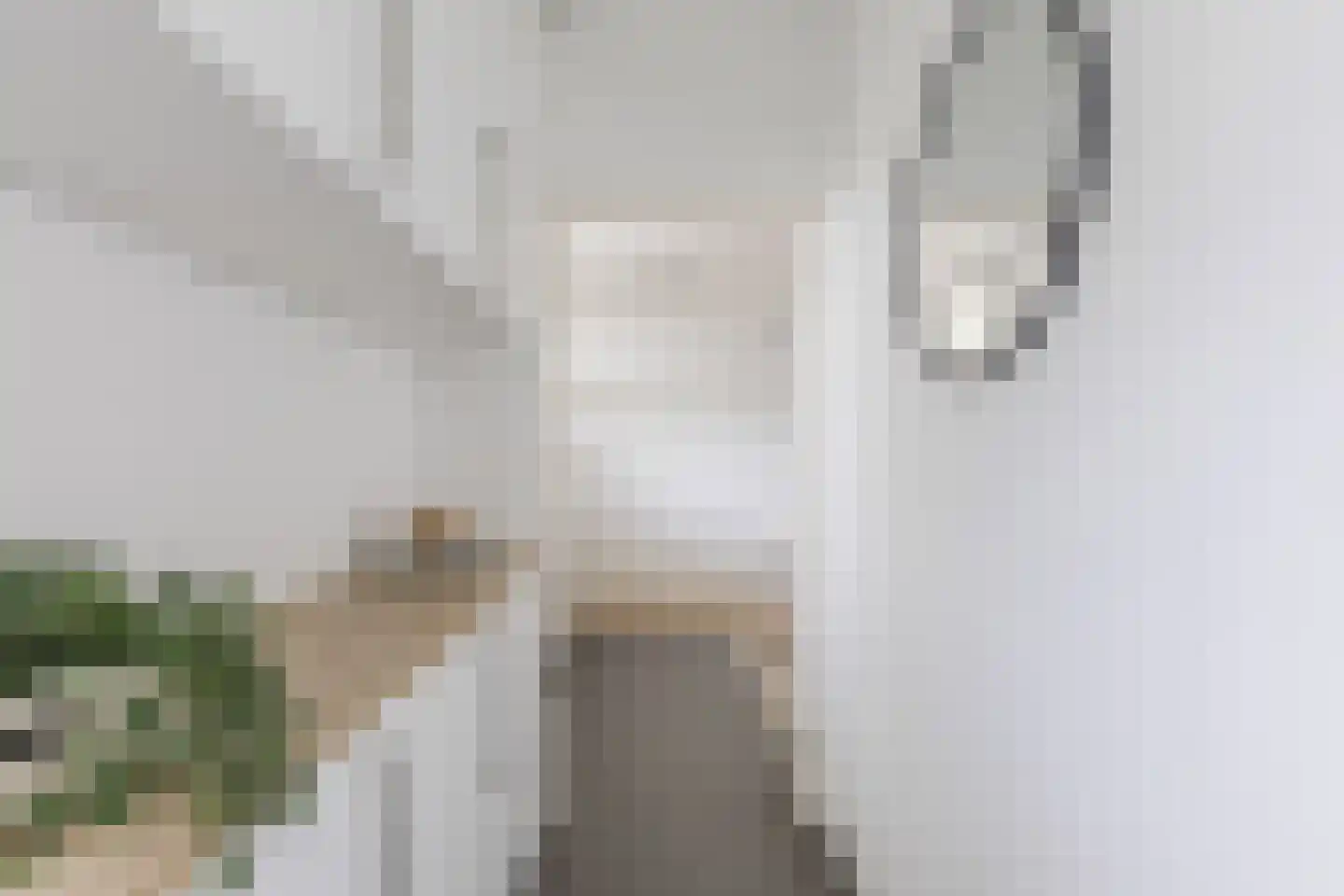 Hofgeest 44 Amsterdam thumbnail 10