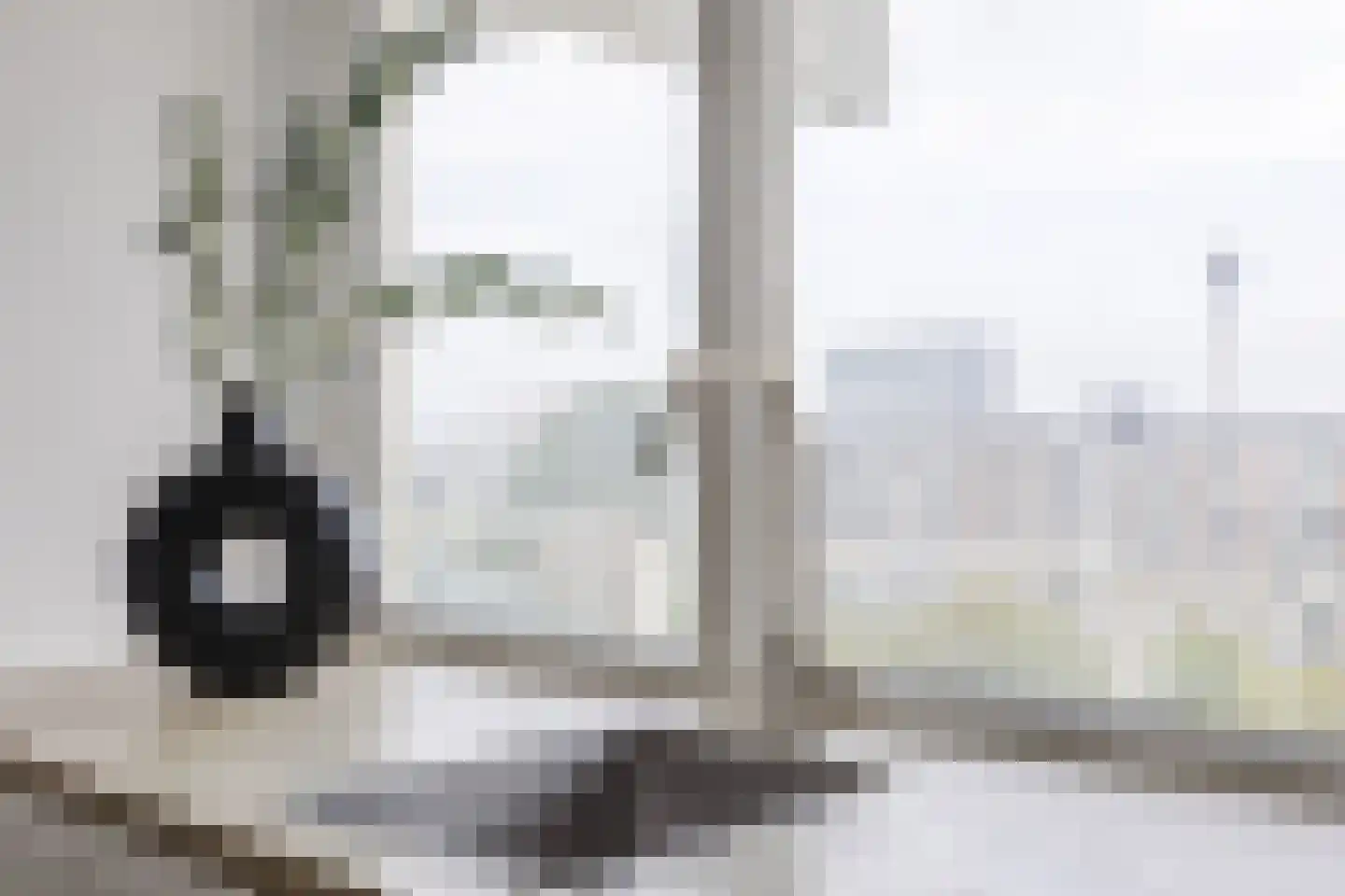 Hofgeest 44 Amsterdam thumbnail 14