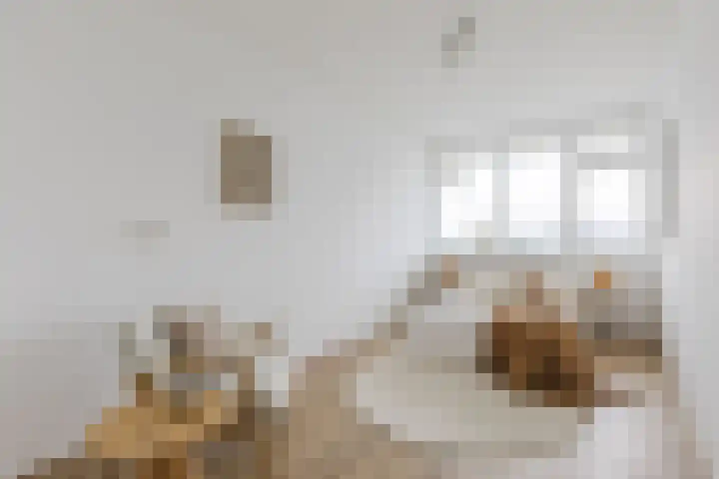 Hofgeest 44 Amsterdam thumbnail 16