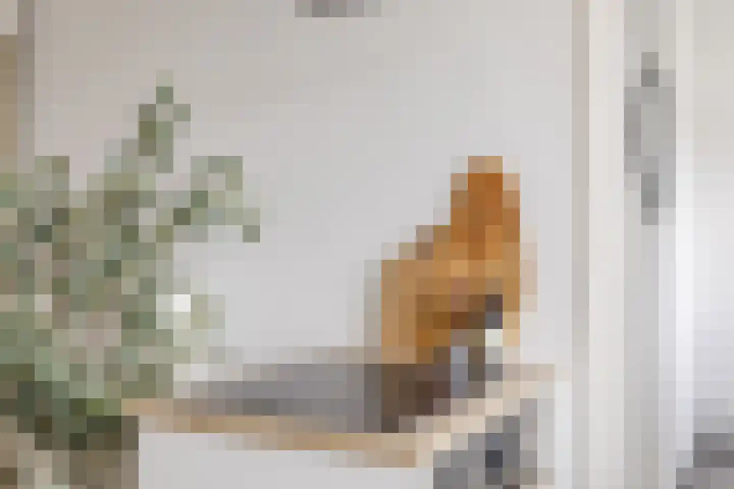 Hofgeest 44 Amsterdam thumbnail 9