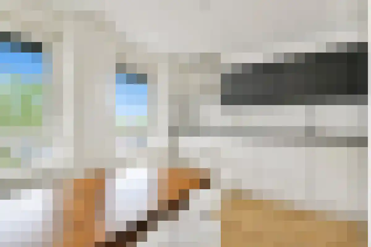 Hofgeest 49 Amsterdam thumbnail 6