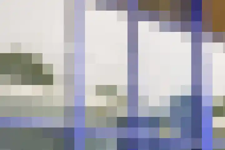 Hofgeest 73 Amsterdam thumbnail 25