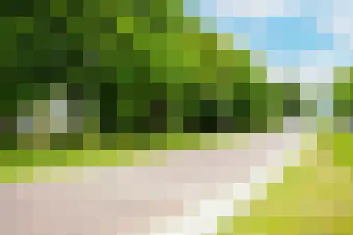 Hofgeest 73 Amsterdam thumbnail 26