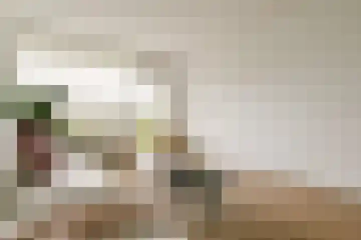 Hofgeest 73 Amsterdam thumbnail 5