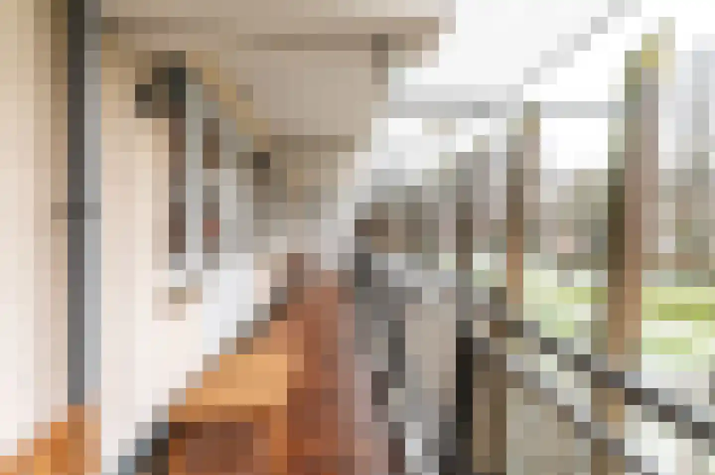 Hofgeest 90 B Amsterdam thumbnail 23