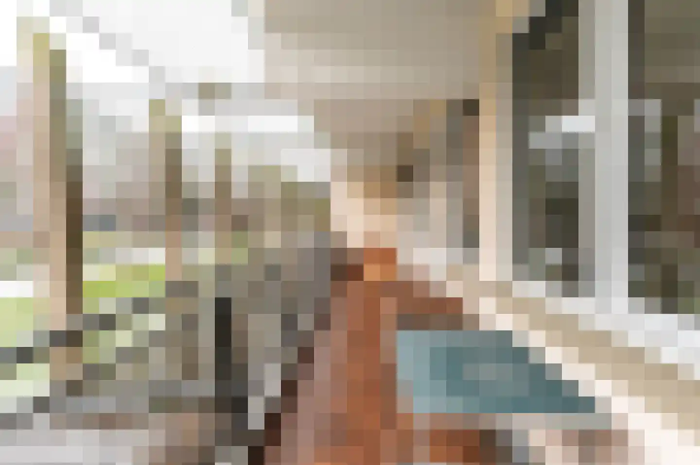 Hofgeest 90 B Amsterdam thumbnail 24