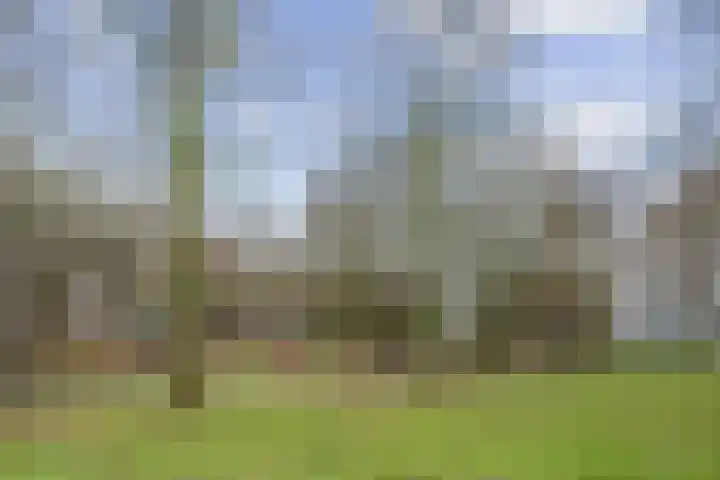 Hofgeest 98 Amsterdam thumbnail 22