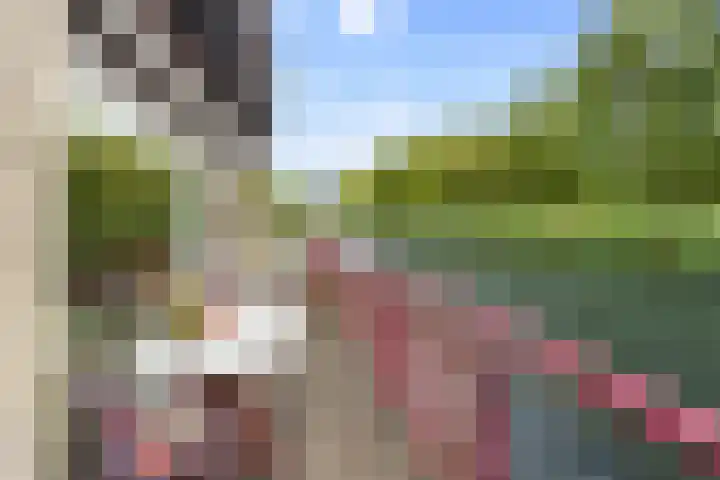 Hofje van Gratie 18 Krimpen aan den IJssel thumbnail 10