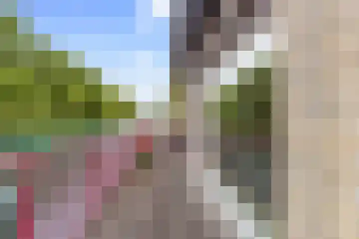 Hofje van Gratie 18 Krimpen aan den IJssel thumbnail 11