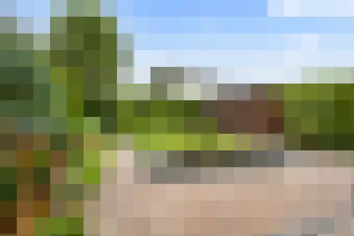 Hofje van Gratie 18 Krimpen aan den IJssel thumbnail 13
