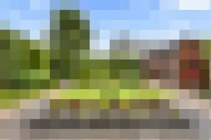 Hofje van Gratie 18 Krimpen aan den IJssel thumbnail 14
