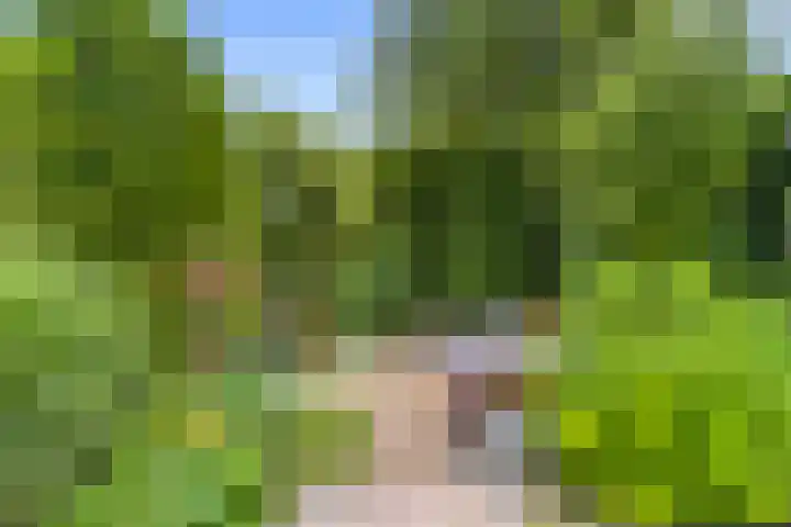 Hofje van Gratie 18 Krimpen aan den IJssel thumbnail 16