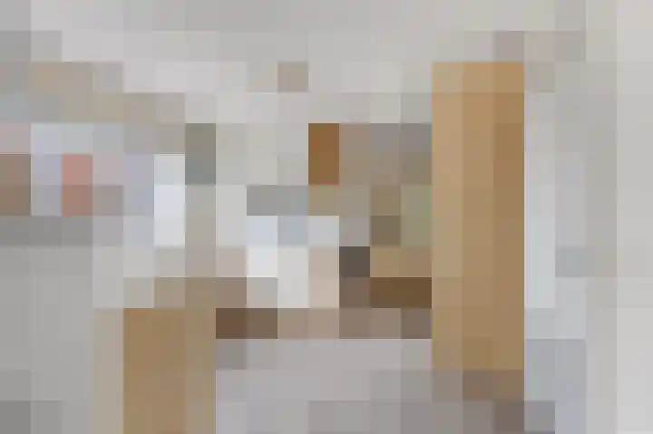 Hofje van Gratie 18 Krimpen aan den IJssel thumbnail 19