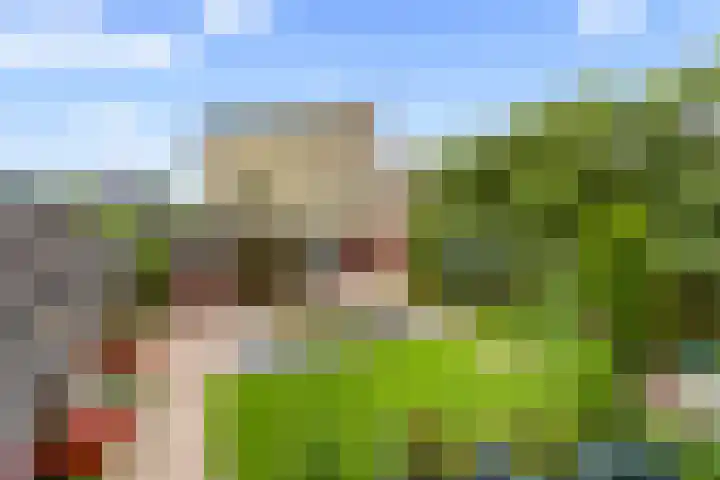 Hofje van Gratie 18 Krimpen aan den IJssel foto 2
