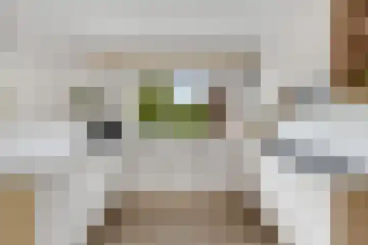 Hofje van Gratie 18 Krimpen aan den IJssel thumbnail 20