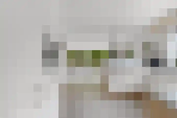 Hofje van Gratie 18 Krimpen aan den IJssel thumbnail 21