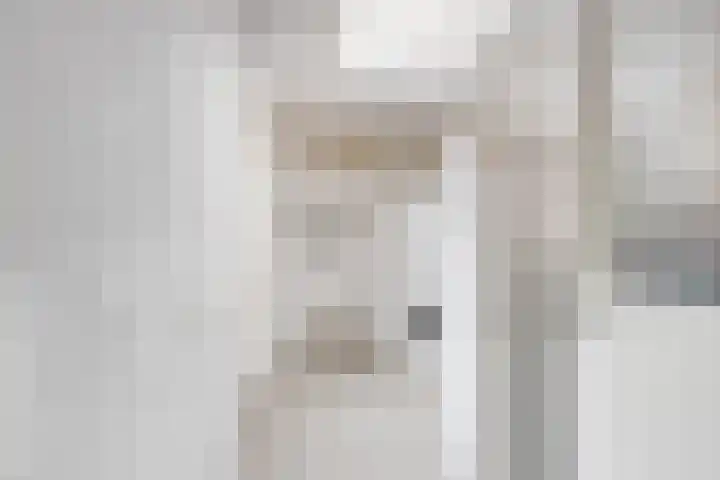 Hofje van Gratie 18 Krimpen aan den IJssel thumbnail 23