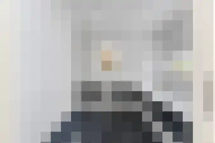 Hofje van Gratie 18 Krimpen aan den IJssel thumbnail 24