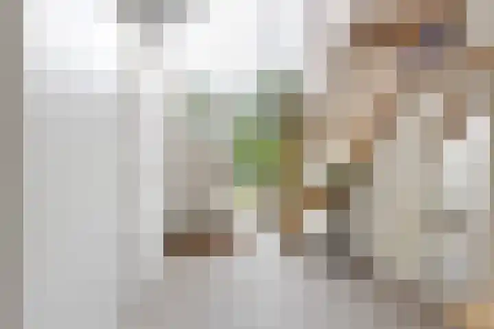 Hofje van Gratie 18 Krimpen aan den IJssel thumbnail 29