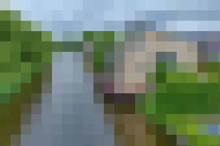 Hofje van Gratie 18 Krimpen aan den IJssel foto 3