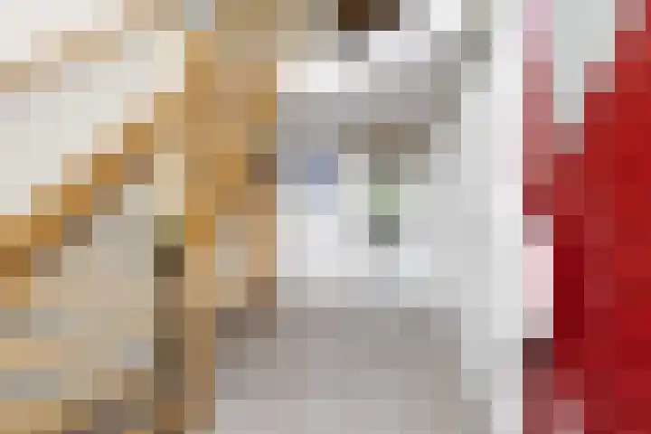 Hofje van Gratie 18 Krimpen aan den IJssel thumbnail 30