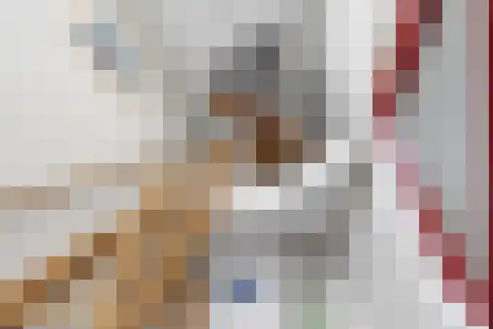 Hofje van Gratie 18 Krimpen aan den IJssel thumbnail 31